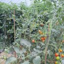 길음시장 이미지