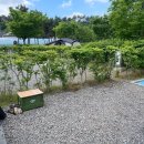 캠핑고래 군산점 이미지