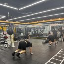 드래곤복싱클럽 백마점 이미지