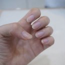 루시네일(LUCY NAIL)