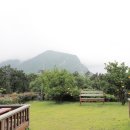 산방산의 품 이미지