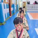 경희대 미래 태권도장 이미지