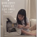 씨스페이스 재송제일점 | 코글로 스페이스 최우수 서포터즈 선정! ✨ 고양이와 집사가 함께하는 공간, 코글로 스페이스 2달 사용 후기