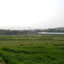 광주이씨광릉부원군파묘역 이미지