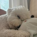 둘리유치원 이미지