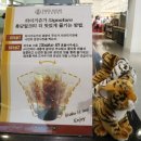 타이거슈가의정부 이미지