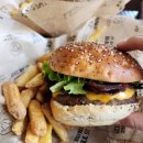 리마트 | 취리히 호텔 리마트호프 Limmathof 더블룸 후기, 취리히맛집 홀리카우