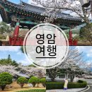 왕인박사유적지 관리사무소 | 영암 벚꽃 명소 왕인박사유적지 (실시간) 왕인문화축제 연기