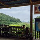 해룡주유소 이미지