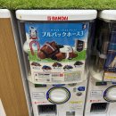 뽑기나라 | 가챠의 나라 일본 나고야 인형뽑기 가챠뽑기 도전 가샤코코 나고야 제로게이트