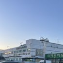 양재꽃시장 셀프 웨딩부케 만들기(안개꽃, 메인부케, 서브부케) 대성공