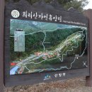 국립희리산해송자연휴양림 이미지