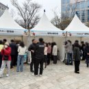 태리인터네셔널 이미지