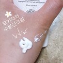 [선크림/예민피부/톤업] 투데이 위드 무기자차 수분 선크림, 내돈내산 솔직후기