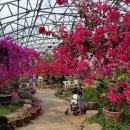 룸엣 155 이미지