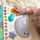 놀자 | 손바닥 사운드북 고래야 놀자! 내돈내산 후기