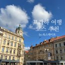 동상약국 | 스테이크맛집,지아자 화장품,지그문트 동상,앤디스 런더리 빨래,약국 화장품,리에그로비사디 노을맛집...