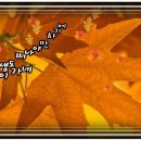 가을이 가네/용혜원=가을이 가네 빛 고운 낙엽들이 늘어놓은 세상 푸념을 다 듣지 못했는데... 이미지