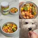 건강하개 먹개 이미지