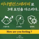 이너시스템