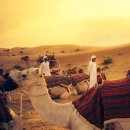 샘사이트 stay 이미지