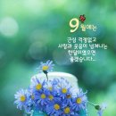 9월4일 금요일 간추린뉴스 이미지