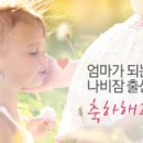 나비잠 - 3562 | 나비잠