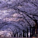 옹기종기 이미지