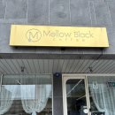 강남초교 | 정하동 [ 멜로우블랙 ]에서 커피 포장 ☕️
