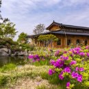 대가한우 이미지