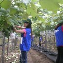 삼성카드㈜ 이미지