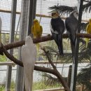 경주버드파크 이미지