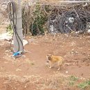 광호민박 이미지