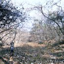 고비고개로 이미지