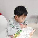 일석이조 한자한국사 | 설민석의 초등 한국사 독해 초등 역사 공부 시작