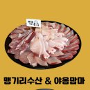 야옹수산 이미지