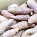 신해남농장 이미지