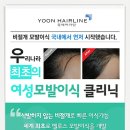 W헤어 네이버블로그