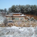 김을환 농장 이미지