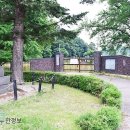 대률초등학교 이미지