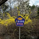 두레캠핑장 | [가평] 호명산 두레 캠핑장 후기