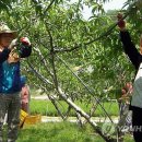 정재영농장 이미지