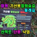 힐링숲