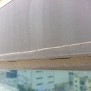 칠곡군청(본관) Daum카페