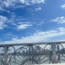 까치네축산 | [9월일상](마지막)