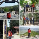 정남진센터-8 이미지