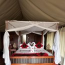 타랑 | [탄자니아]타랑기레 국립공원, 타랑기레 심바 롯지 후기