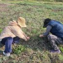 자연한약국 이미지