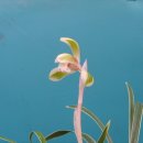 동쪽으로 이미지