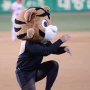 호돌이크리닝 스포츠조선